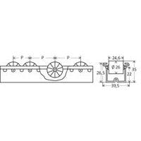 rulli cilindrici:- P = passo dei rulli