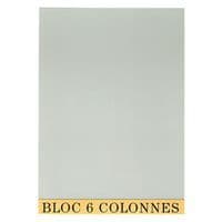 Bloc-notes controllo contabile 29,7 x 21 cm 6 col. 70 fogli