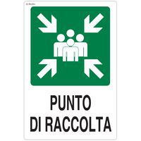 Cartello di emergenza - Punto di raccolta