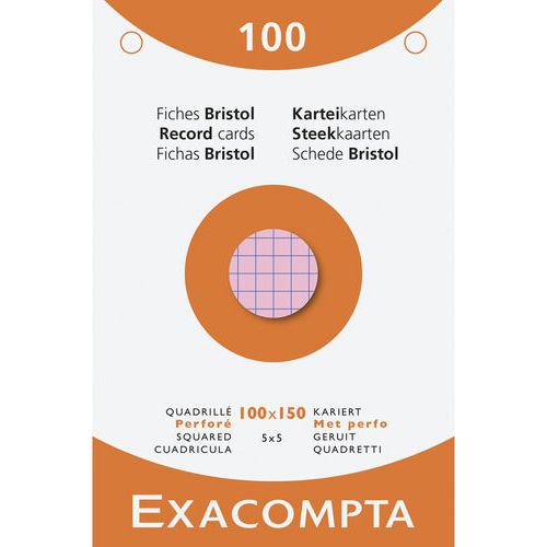 Astuccio da 100 schede a quadretti perforate x 10 assort. - Exacompta