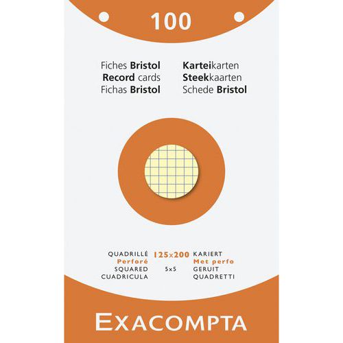 Astuccio da 100 schede a quadretti perforate x 12 assort. - Exacompta