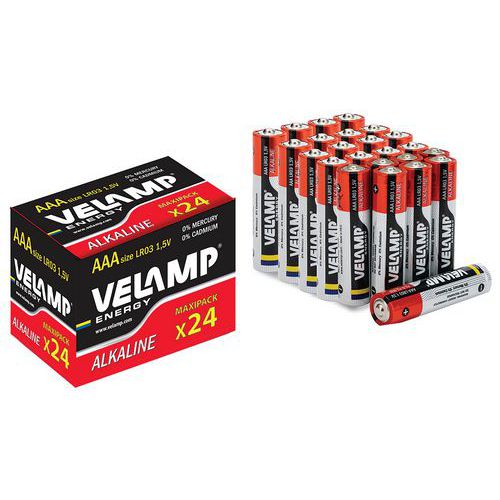 Lotto da 24 pile alcaline - Velamp