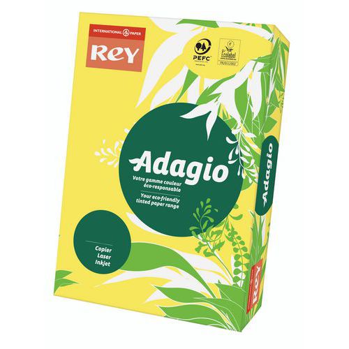 Risma Adagio 500 fogli - A colori - 80 g