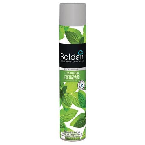 Battericida freschezza alla menta Boldair - 500 mL