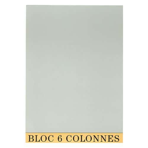 Bloc-notes controllo contabile 29,7 x 21 cm 6 col. 70 fogli